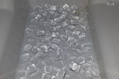 Ice Quality