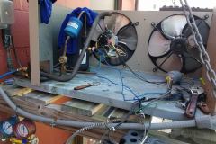 Two-Fan Evaporator Repair